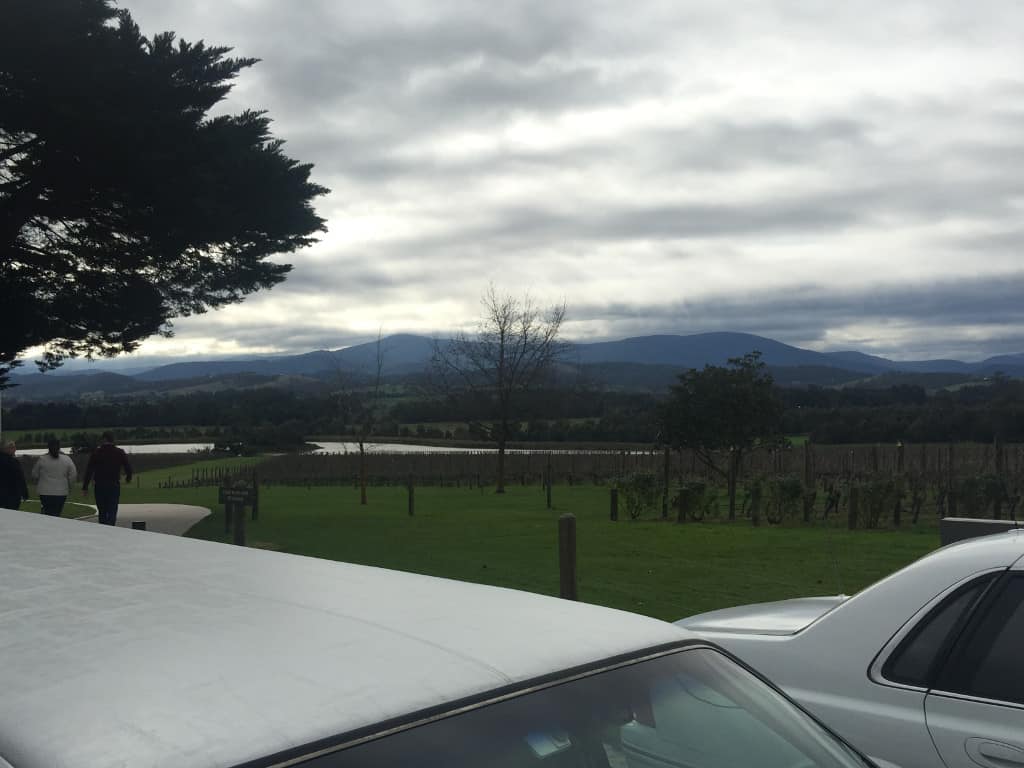 winery tours yarra valley