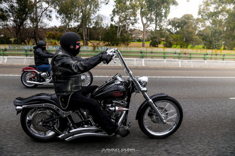 Harley riders